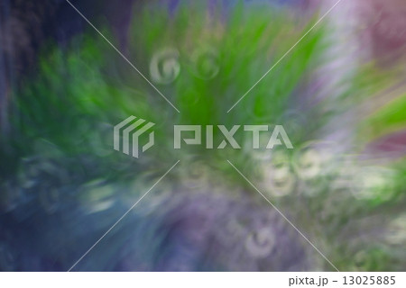 Abstract circular bokeh 13025885