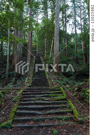鰐淵寺・蔵王堂への参道 鰐淵寺・蔵王堂への参道 13025982