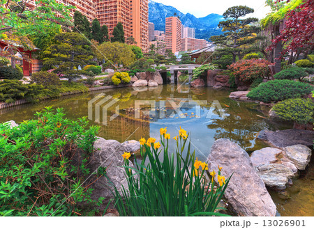 View of Monaco garden, Cote d'Azur 13026901