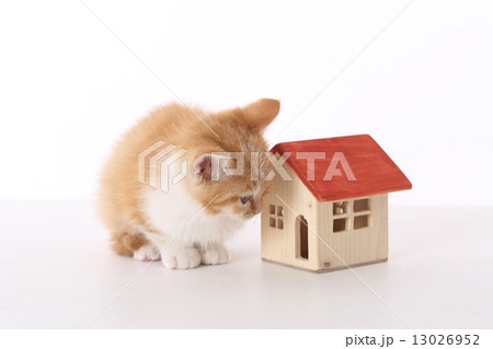 基礎はしっかりしてるわね・・・ 基礎はしっかりしてるわね・・・ 13026952