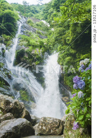 滝 滝 13027106