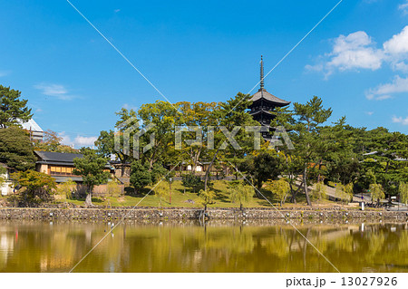 猿沢池と五重塔 猿沢池と五重塔 13027926