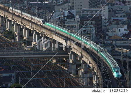 東北新幹線E5系新幹線 13028230