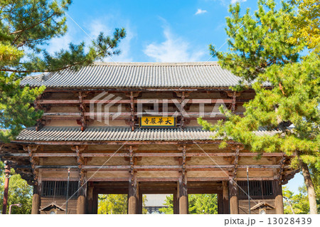 東大寺南大門 13028439