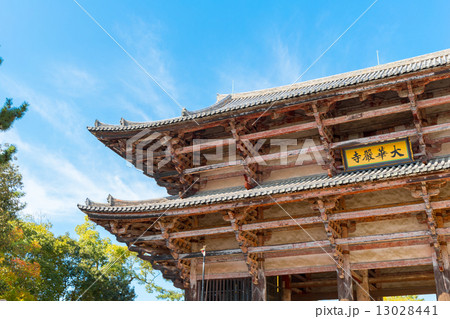 東大寺南大門 13028441