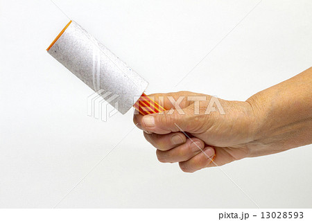 cleaning roller on the white background cleaning roller on the white background 13028593