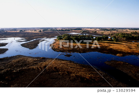 オカバンゴ・デルタ 空撮 オカバンゴ・デルタ 空撮 13029594