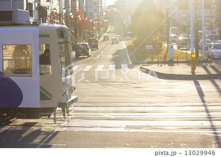 逆光に包まれるように走行する都電荒川線 13029946
