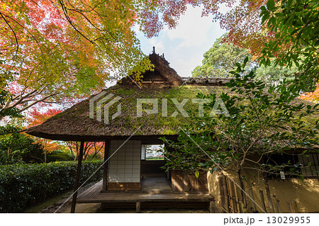 金福寺・芭蕉庵 金福寺・芭蕉庵 13029955