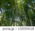 竹林　２ 13030418