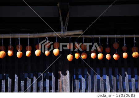 日本の風景 13030683