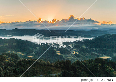 山古志集落　霧と棚田の夜明け 13031983