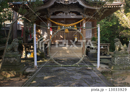 萩　厳島神社の茅の輪 13033929