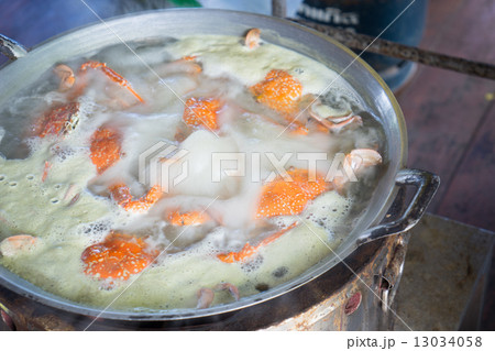 close up pot crab boiling on stove 13034058