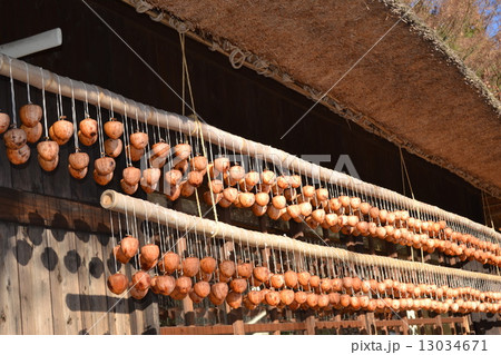 干し柿 13034671