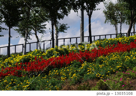 カラフルな　ぜるぶの丘 13035108