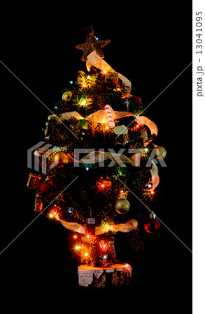 Little Christmas tree 13041095