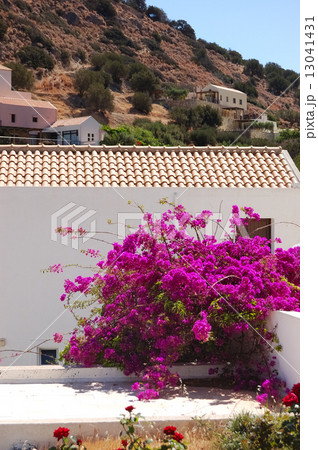 Luxury villa decorated with flowers, Crete, Greece 13041431