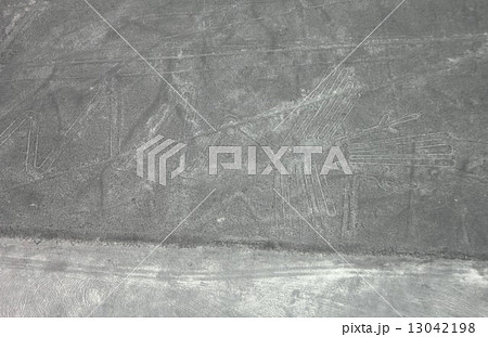 南米ペルーの世界遺産、ナスカの地上絵の空撮 13042198