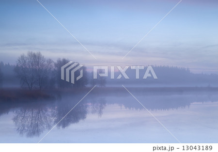 misty morning on autumn swamp 13043189