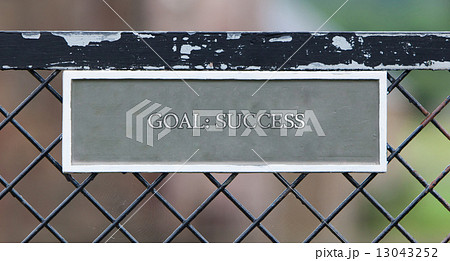 Goal success 13043252