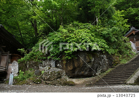 戸隠奥社・天岩戸 戸隠奥社・天岩戸 13043725