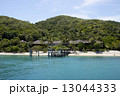 フィッツロイ島 13044333