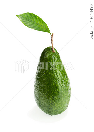 Ripe Green Avocado with Leaves Isolated on White Background. Ripe Green Avocado with Leaves Isolated on White Background. 13044459