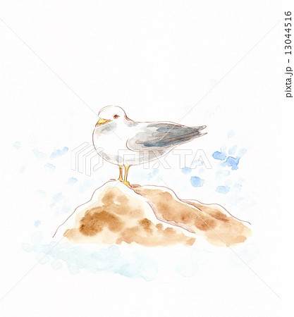 波濤のカモメ 13044516