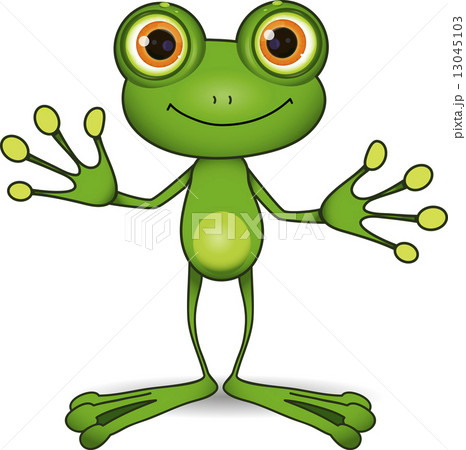 cute frog 13045103