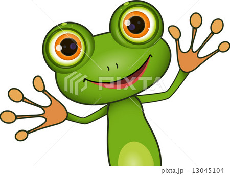 green cute frog 13045104