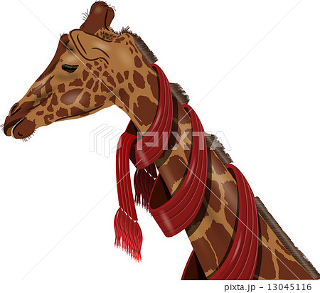 giraffe giraffe 13045116