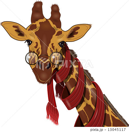 giraffe in a scarf giraffe in a scarf 13045117