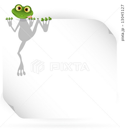 Frog and white background Frog and white background 13045127