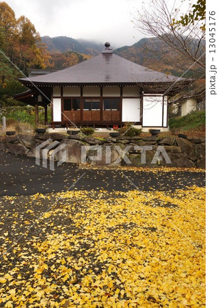 信濃三十三観音霊場妙徳山 高顕寺(第十番札所)イチョウ 信濃三十三観音霊場妙徳山 高顕寺(第十番札所)イチョウ 13045176
