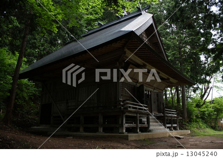 戸隠神社 火之御子社 戸隠神社 火之御子社 13045240