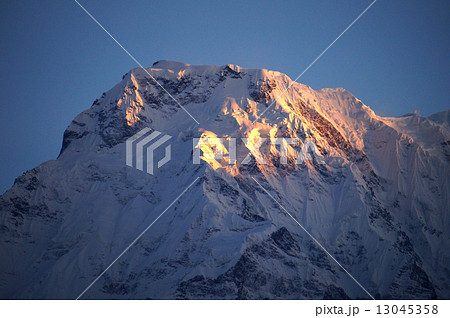 アンナプルナ連峰 ダウラギリ 13045358