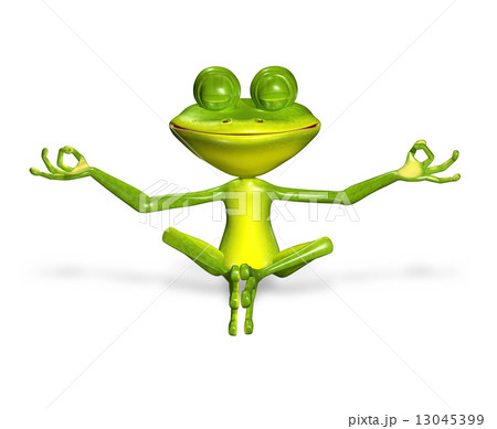 green frog 13045399