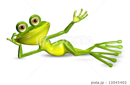 green frog 13045403