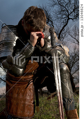 Portrait of a Knight in the blood 13046624