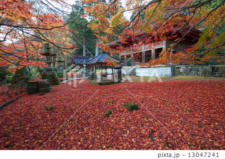 晩秋の鰐淵寺 13047241