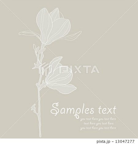 Card with stylized magnolia retro  13047277