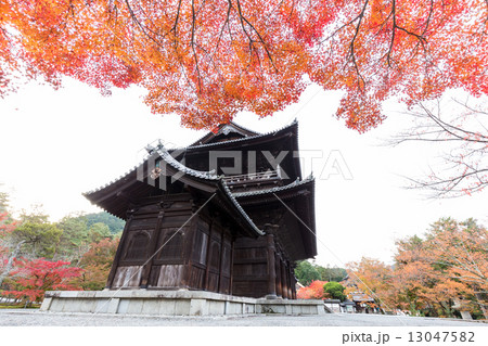 秋の南禅寺三門 秋の南禅寺三門 13047582