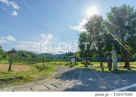 夏の春日山城跡の大手道の入口 夏の春日山城跡の大手道の入口 13047690