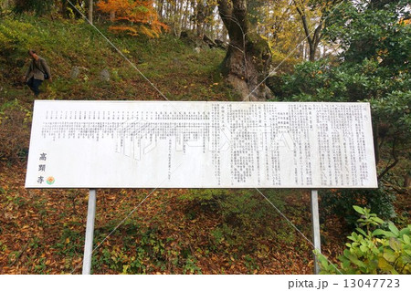 信濃三十三観音霊場妙徳山 高顕寺(第十番札所) 信濃三十三観音霊場妙徳山 高顕寺(第十番札所) 13047723