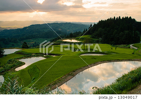 新潟県長岡市川口 夕焼けの棚田と養鯉池への映り込み 新潟県長岡市川口 夕焼けの棚田と養鯉池への映り込み 13049017