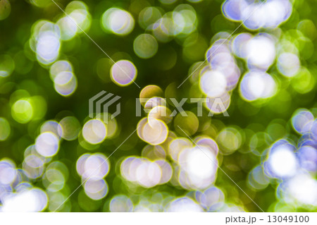 Bokeh Bokeh 13049100