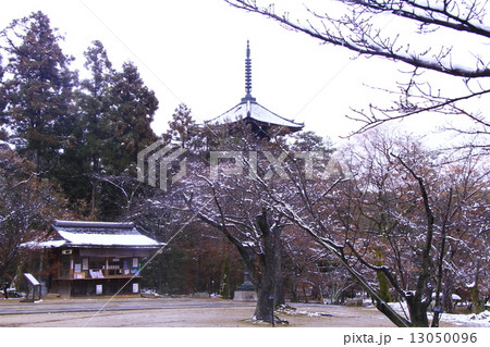 仁和寺(京都)納経所と五重の塔の雪 仁和寺(京都)納経所と五重の塔の雪 13050096