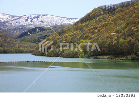 朝里ダム 13050393