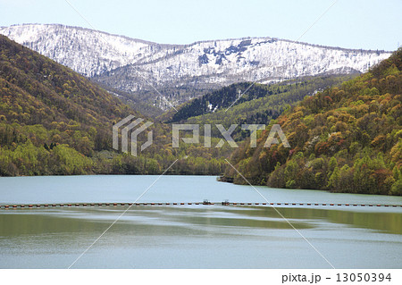 朝里ダム 13050394